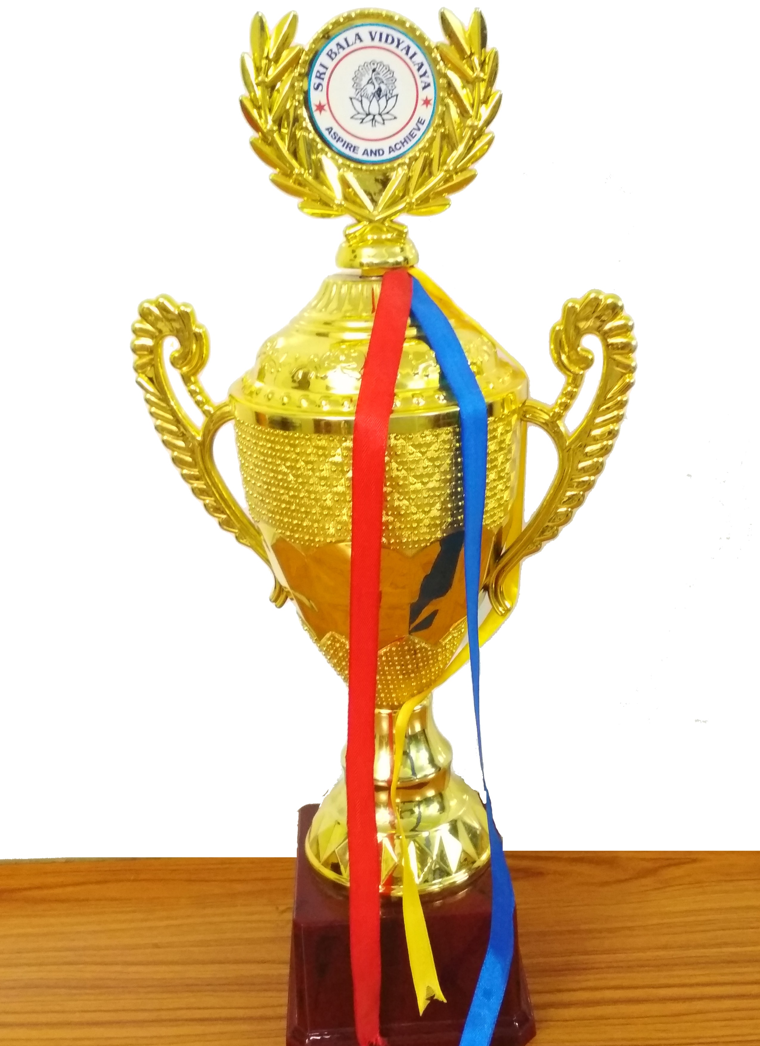 School achievement — Sri Bala Vidyalaya