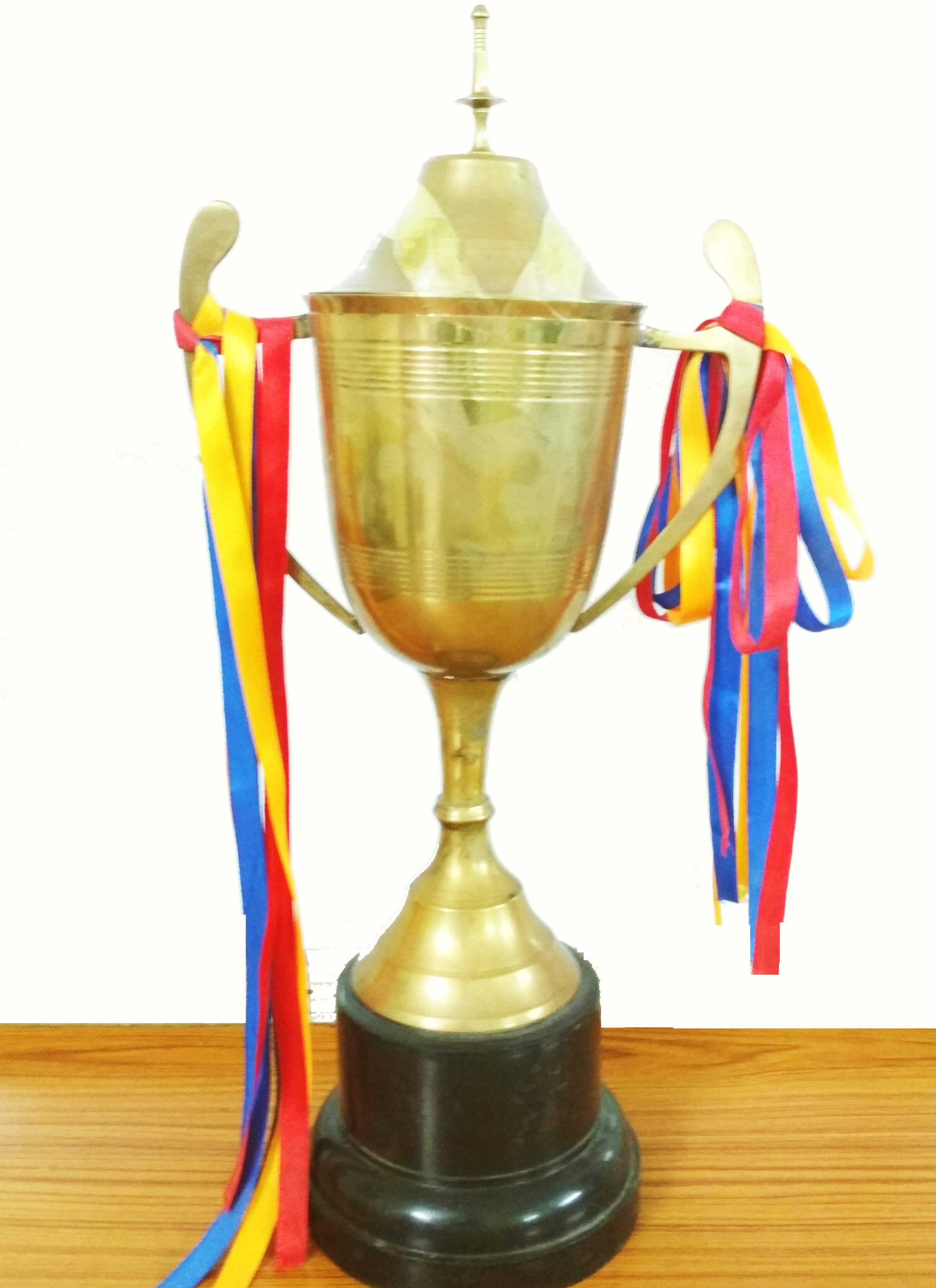 School achievement — Sri Bala Vidyalaya